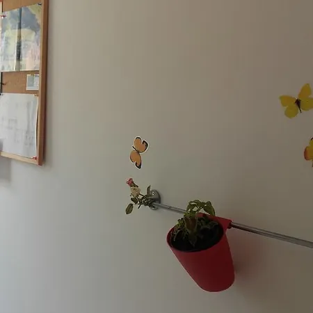 Apartamento Aleksandra