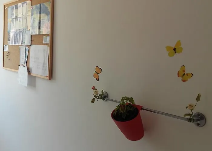 Apartman Aleksandra